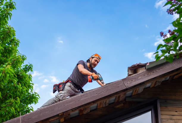 Trusted Dellwood, MN Roofing servicies Experts